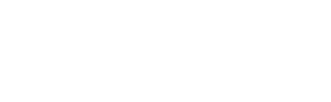 Le musée du champignon